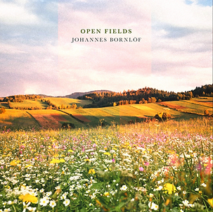Open fields.png