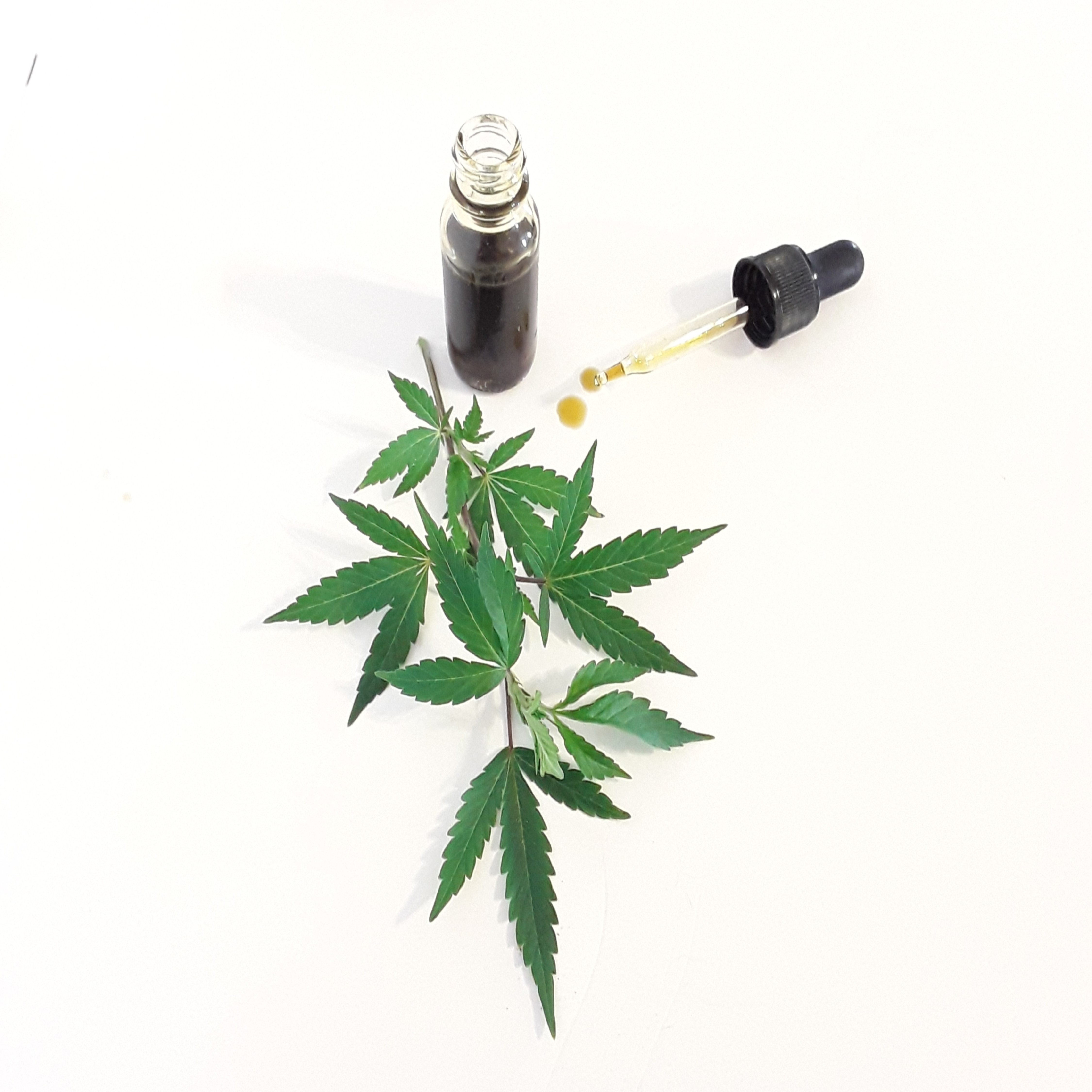 My CBD Journey