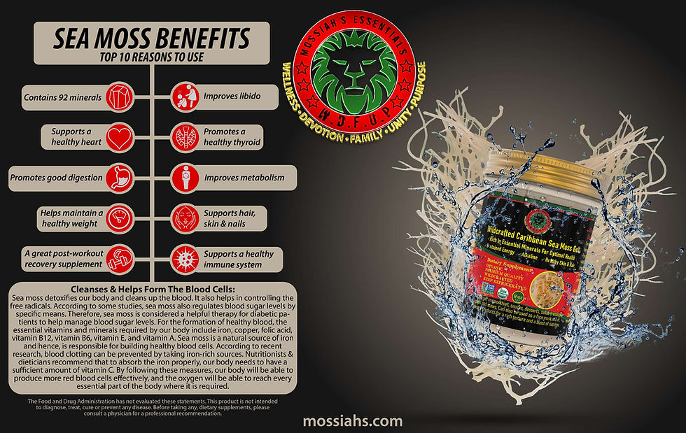 8oz Wildcrafted Caribbean Sea Moss Gel