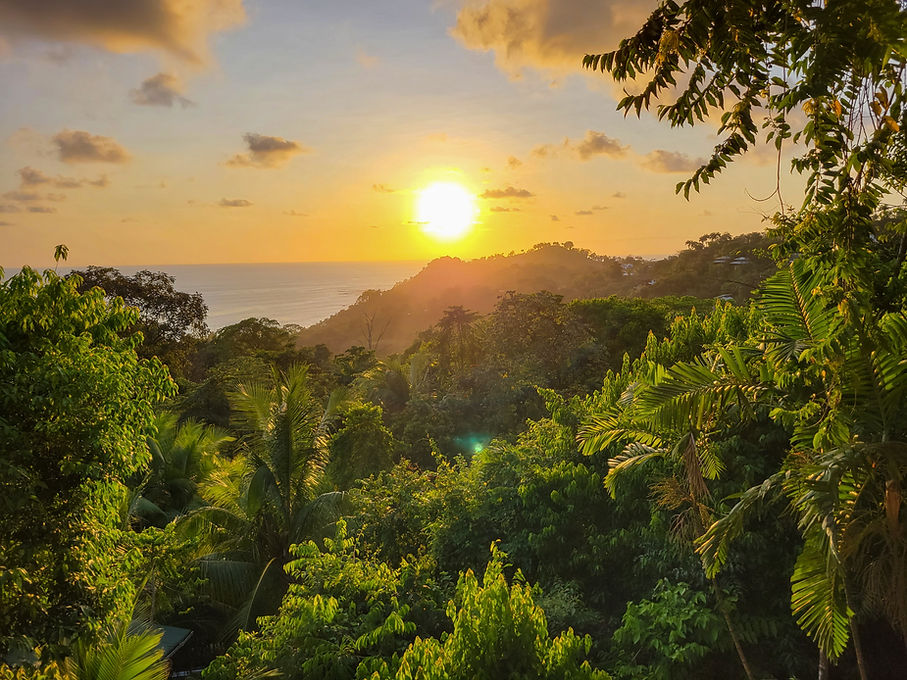 Sunset over a tropical rainforest.jpg
