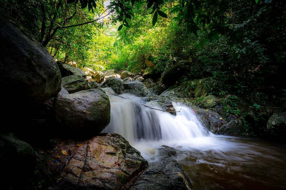 Waterfall is flowing in jungle. Waterfall in green forest. Mountain waterfall. Cascading s