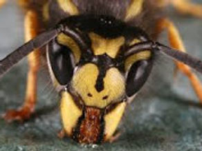 Are you a bad diabetic?