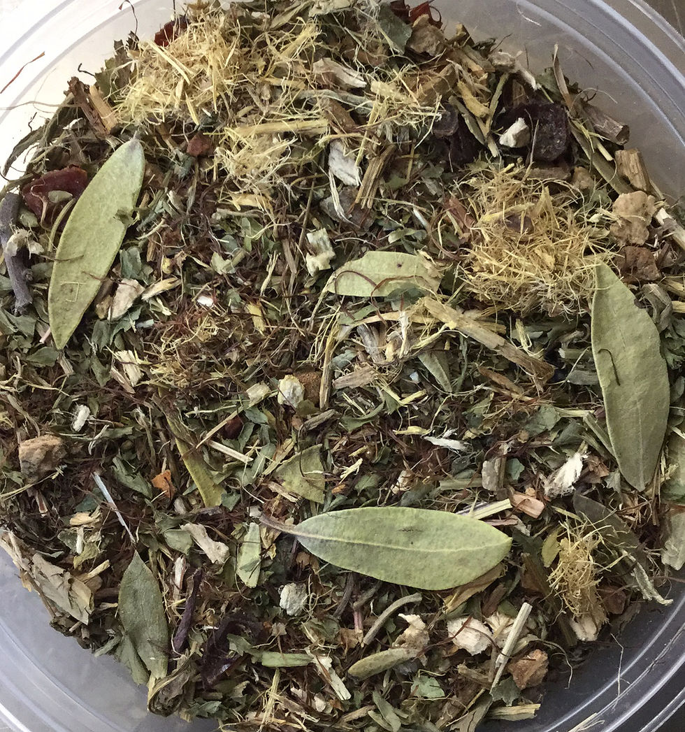 Pissing Fire Herbal Tea tnphhaus