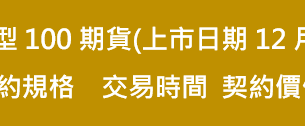 臺灣中型100期貨合約規格
