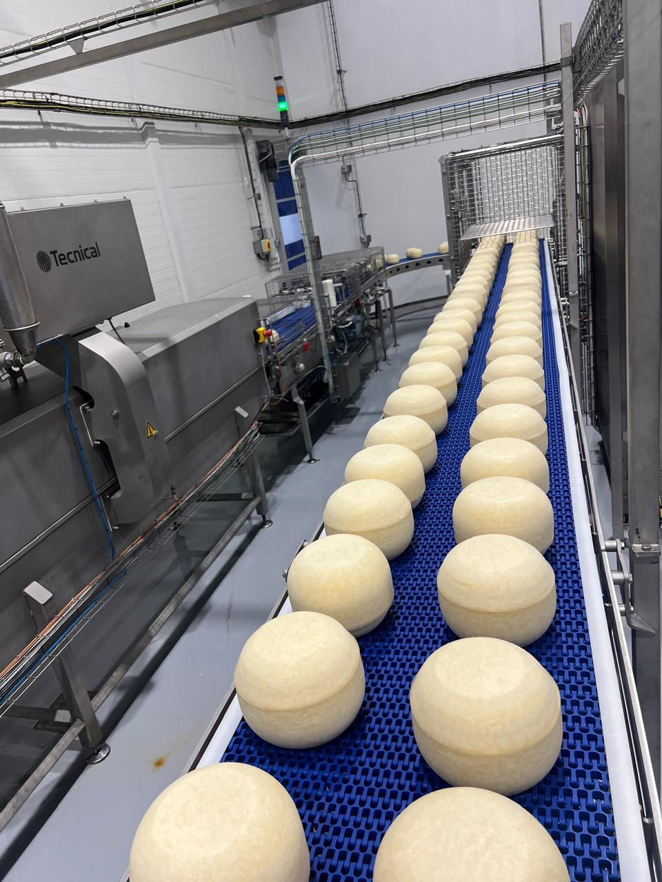 Edam Production