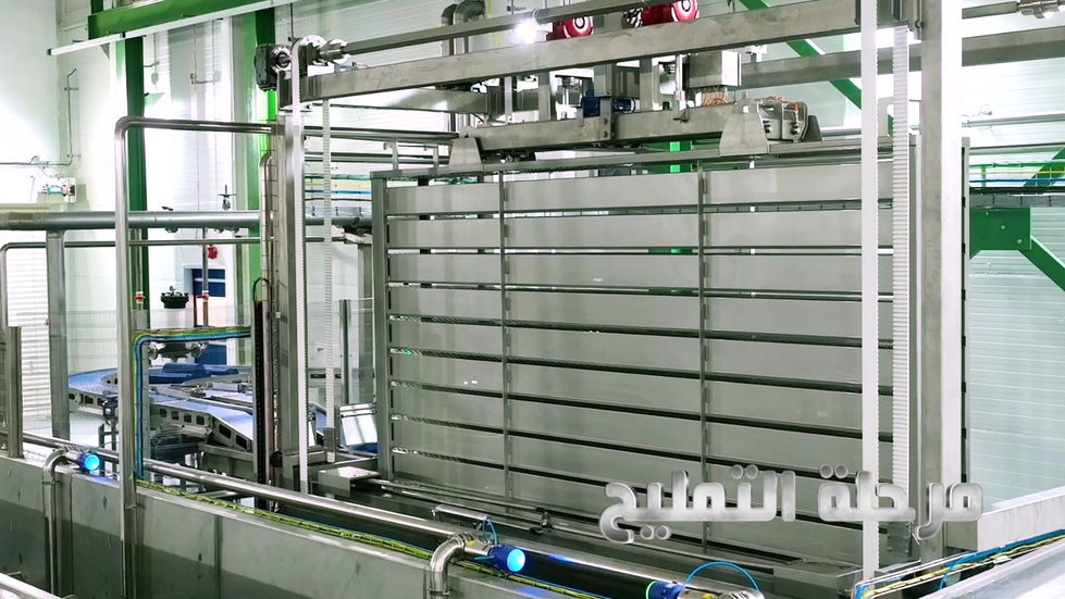 WhatsApp Image 2025-05-29 at 10.11.19 AM (3).jpeg