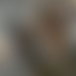 Find Your Perfect Cat Match: Take the LBS Kitty Picker Quiz to Adopt Your Ideal Feline Companion!