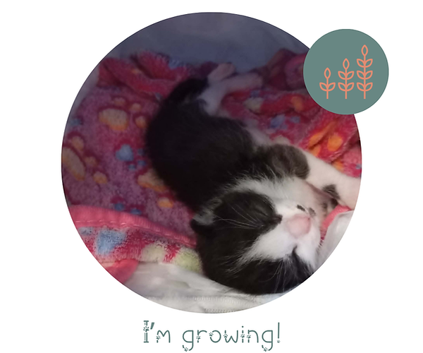I'm growing (4).png