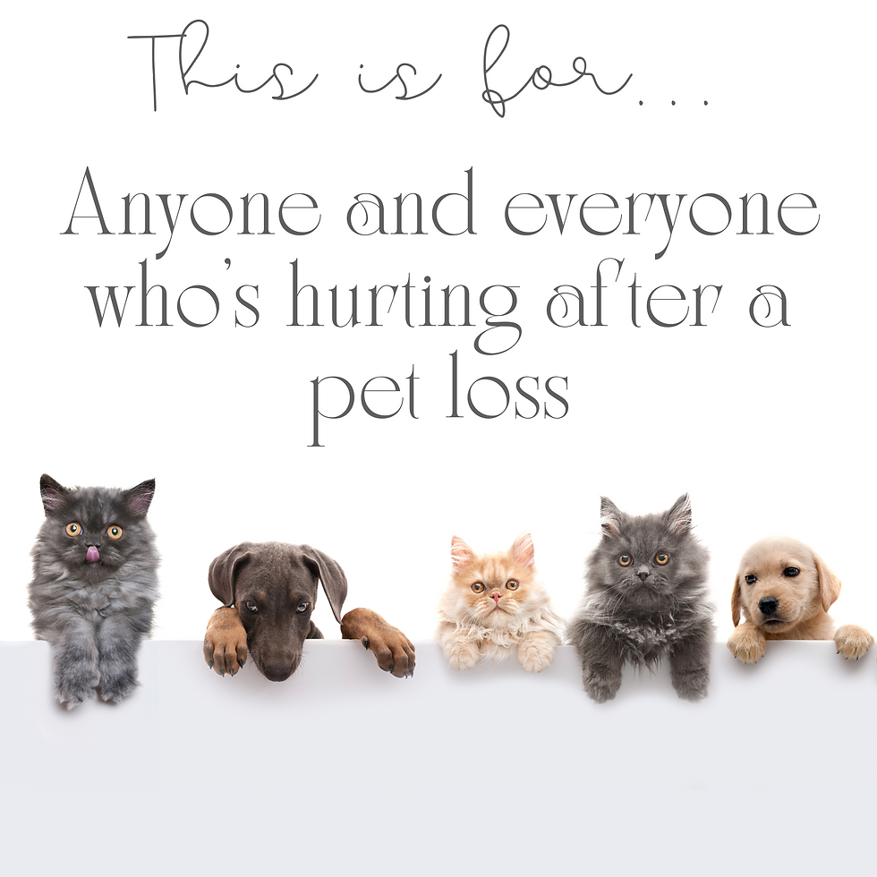 When We Lose a Pet - How to Navigate the Grief and the Steps That Follow