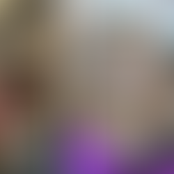 Our Cat Sanctuary in Stats: How Far We’ve Come in 2025