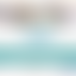 Let’s Be S.M.A.R.T. Launches Holiday Pet Adoption Program Near Athens