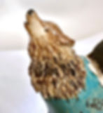 IMy Summer with Lupus