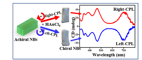 TOC Figure_edited.png