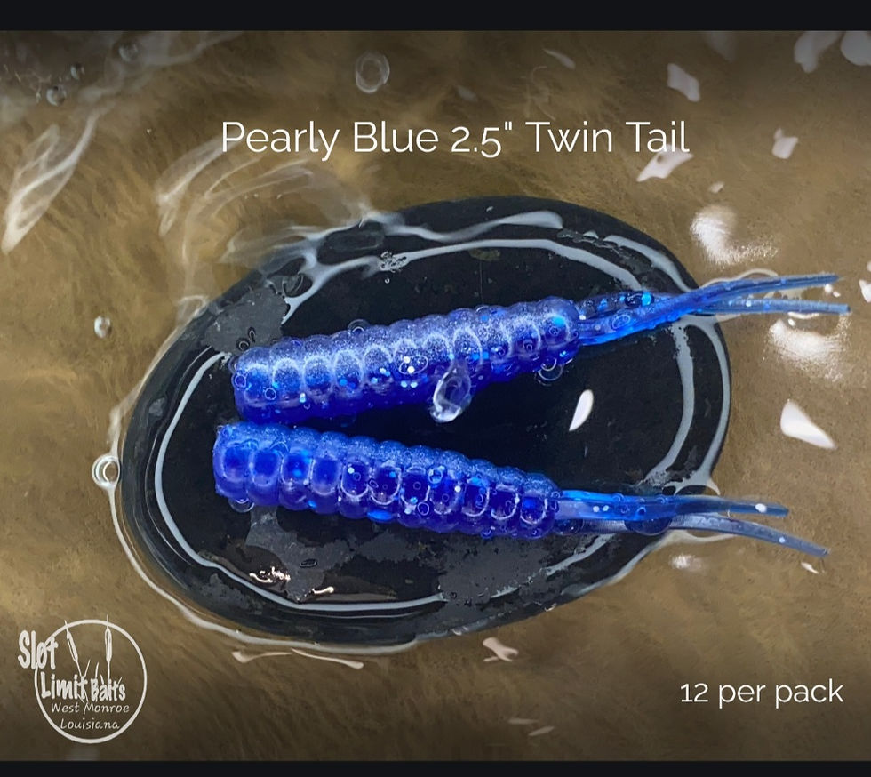 Thumbnail: 2 1/2 " Twin Tail