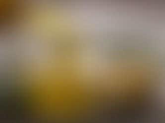 Lo que nuestros ojos no ven