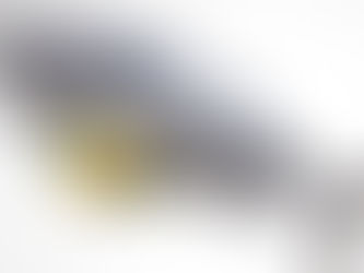 Ácidos grasos: Omega 3 