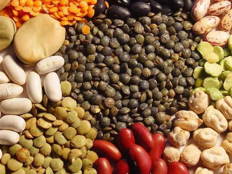¿Qué son las legumbres y las leguminosas?