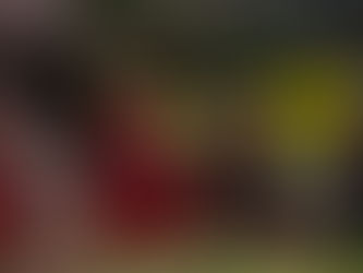 Cuando comer también es aprender