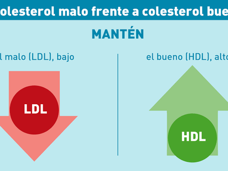 Colesterol ¨bueno¨ el gran guerrero