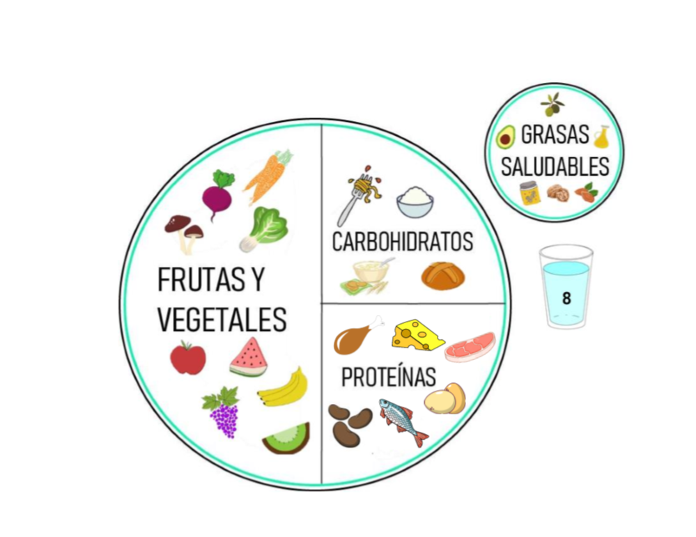 El plato saludable una manera mas fácil de controlar tus porciones.