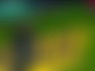 Primera división de México