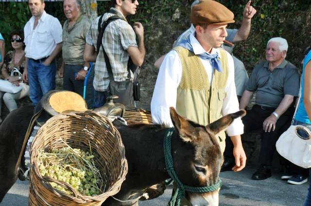 hazelnut- festival-polizzi-generosa