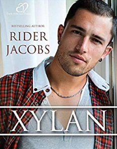 xylan-cover-italian-edition