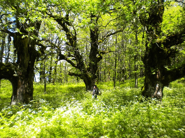 nature reserve malabotta