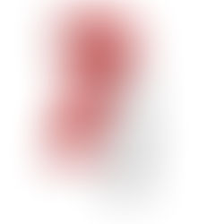 Why Advices and not Advice?