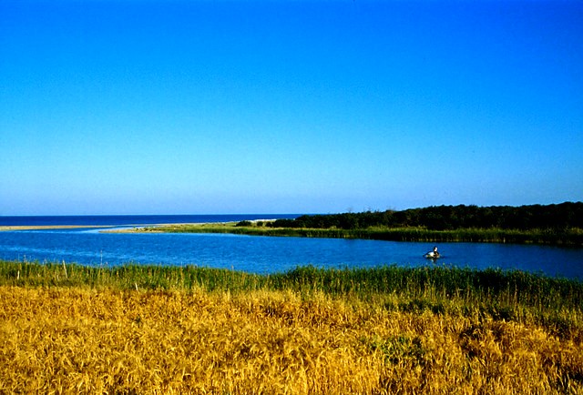 Platani  River