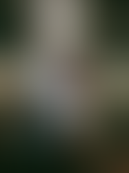 Eye on Annapolis Local Business Spotlight