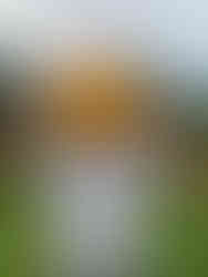 A man in a white shirt standing in a grassy field holding up a pumpkin