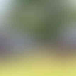 A line of people waiting to enter an outdoor market