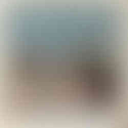 An image of four men harvesting tobacco in 1966