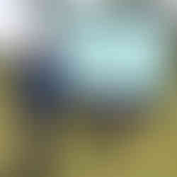 woman walking a dog in a long sleeve t-shirt over to a man in the same t-shirt outside in a field