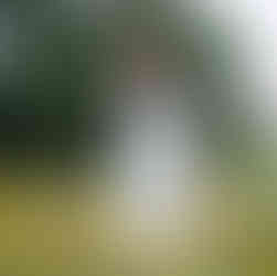 A woman throws pink cards into a field of yellow flowers