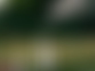 Lit candles and bottles on a rustic wooden table in a field. Smoke rises from a candle, with trees and a sunset in the blurred background.