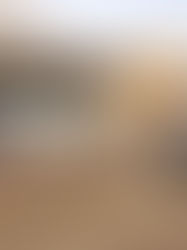 Outdoor stand with two people talking under a wooden roof. Nearby, a group chats under an umbrella. Leafless trees and a clear sky.