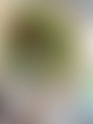 Herbs hanging to dry on a corner shelf in a kitchen