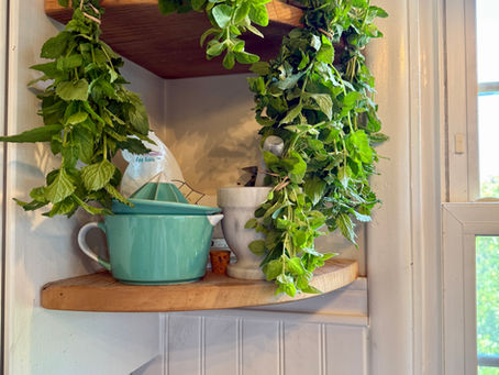 Herbs hanging to dry on a corner shelf in a kitchen