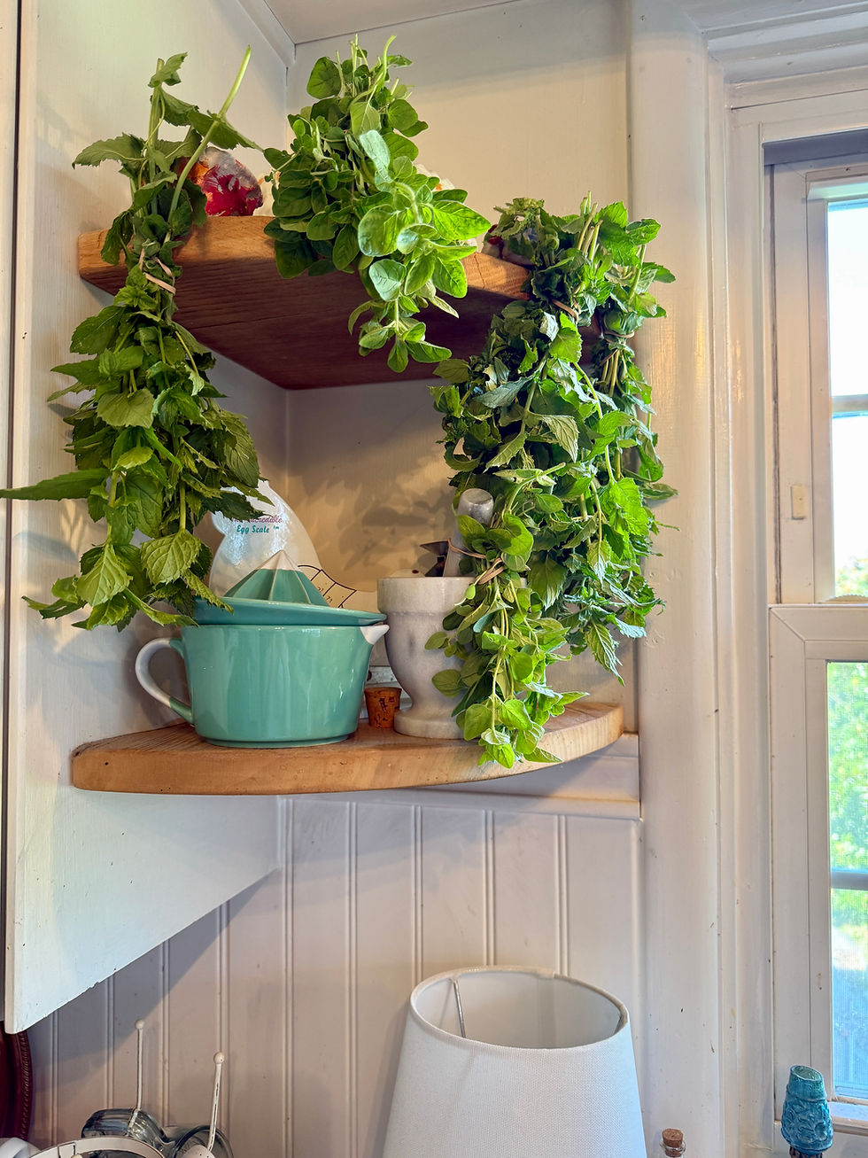 Herbs hanging to dry on a corner shelf in a kitchen