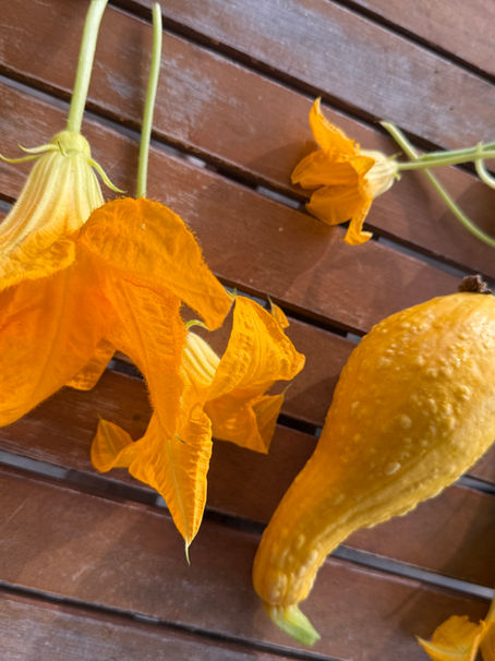 Squash blossoms on a wooden table with a yellow squash