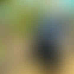 Flowers in a jar on a wooden table next to a sign that says "Here for you pick? Start at the bar!"