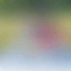 A man and a woman sitting at a picnic table in a field