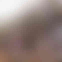 A trailer full of books at an outdoor market