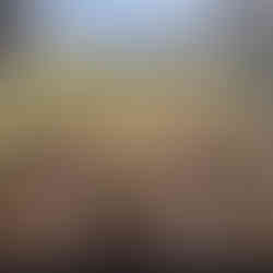 Seedlings in a tray on a window sill