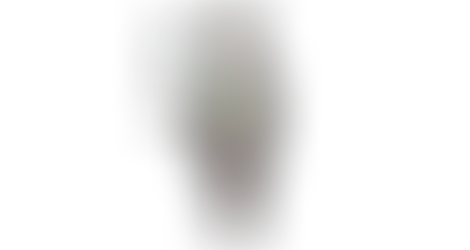 Begleitetes Arbeiten mit dem digitalen Assistenten Gregor: adaptive Unterstützung, Echtzeit-Feedback und Gamification für inklusive Arbeitsprozesse.