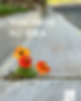 2026.01.11 You have no idea_Social Media.png