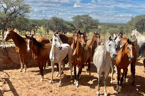 Family Accommodation Namibia