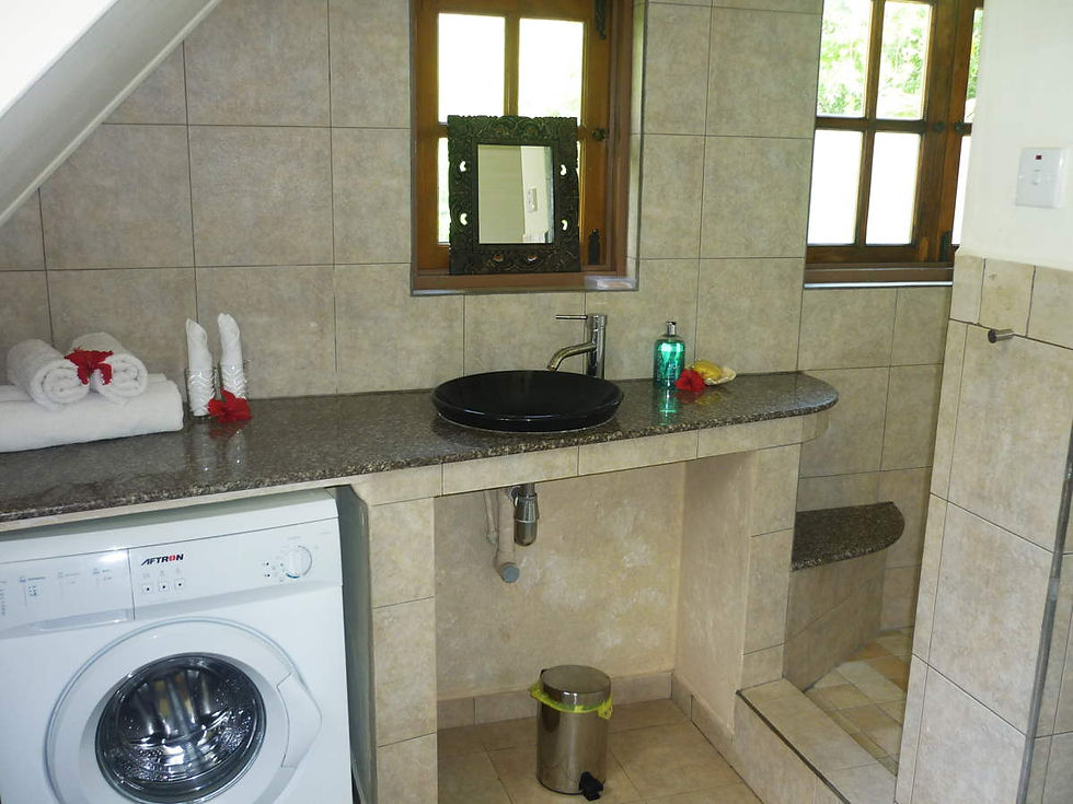 VAN-Bathroom